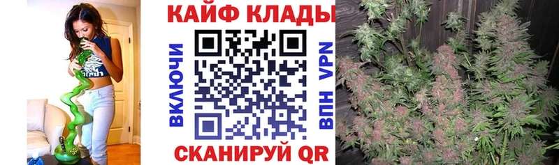 Псилоцибиновые грибы Бабаево