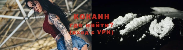 прущая мука Арсеньев