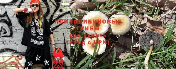 mix Алексин