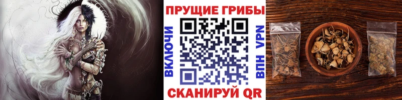 Галлюциногенные грибы ЛСД  Бабаево 