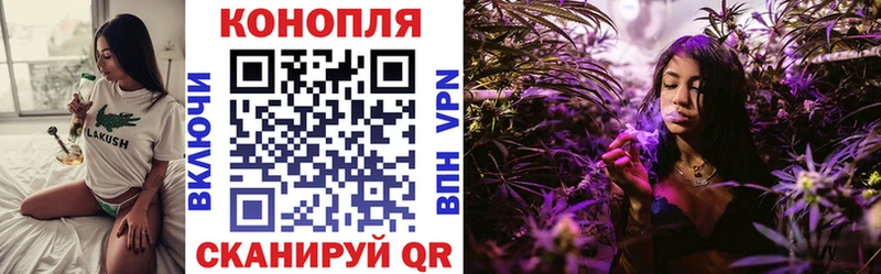 закладка  Бабаево  Конопля THC 21% 